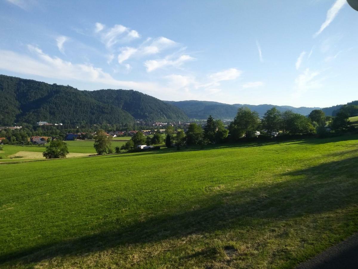 Ferienwohnung Am Eichbuehl Waldkirch Eksteriør bilde