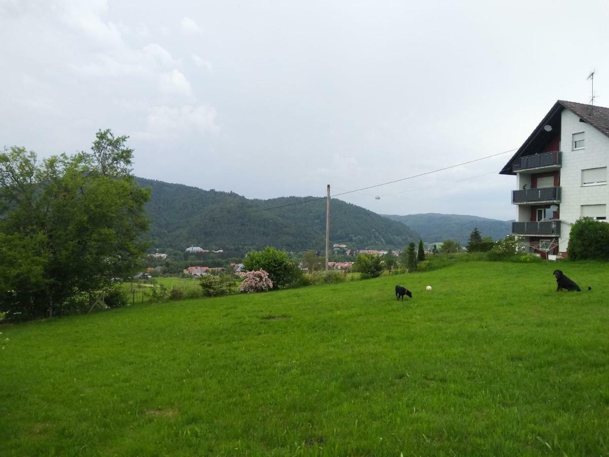 Ferienwohnung Am Eichbuehl Waldkirch Eksteriør bilde
